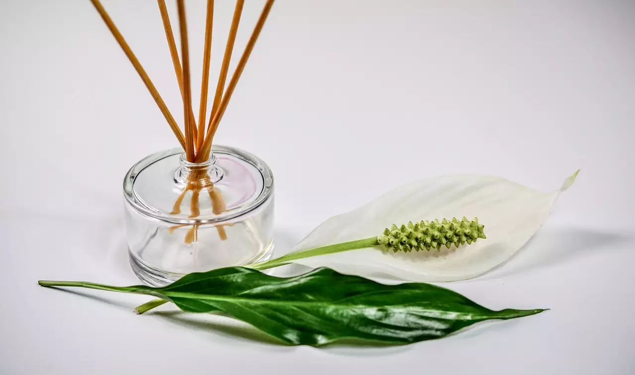 home scentfy essential oils